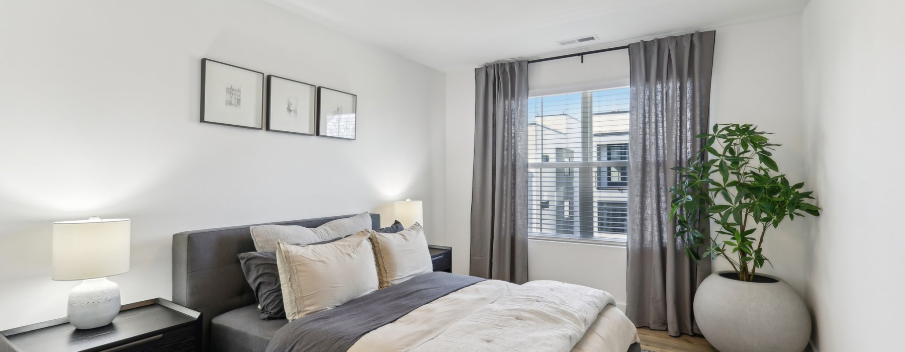 Spacious bedroom with queen bed and large potted plant
